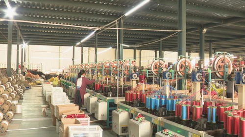 惠民繩網(wǎng)產(chǎn)業(yè)提檔升級(jí),每年開(kāi)發(fā)20個(gè)系列200多種規(guī)格的產(chǎn)品